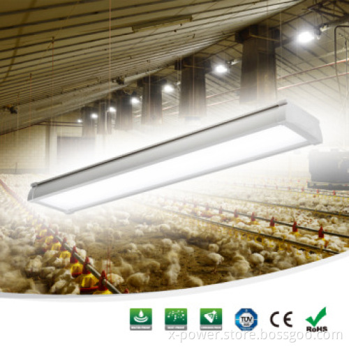 Hot selling IP65 LED tri proof light for EU markets
